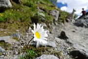 CAPANNA BOVAL AL GHIACCIAIO DEL MORTERATSCH il 18 luglio 2016 - FOTOGALLERY